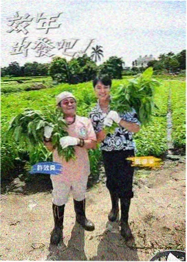退婚后我成了世界首富 爽文短剧
